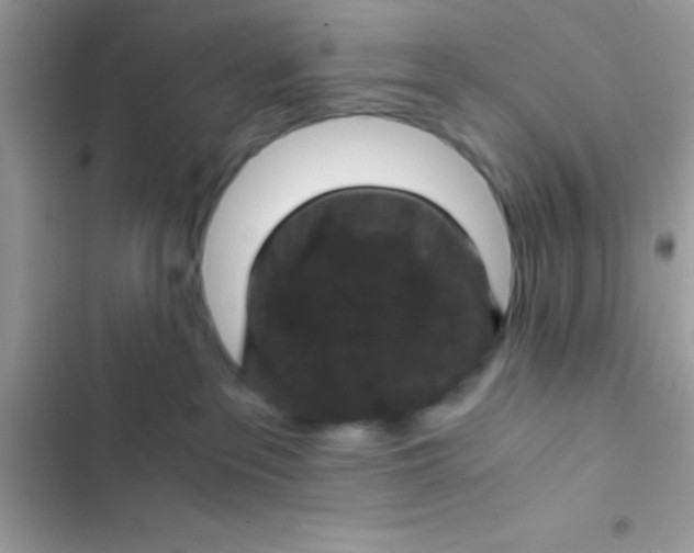 X0000103140237200809192012