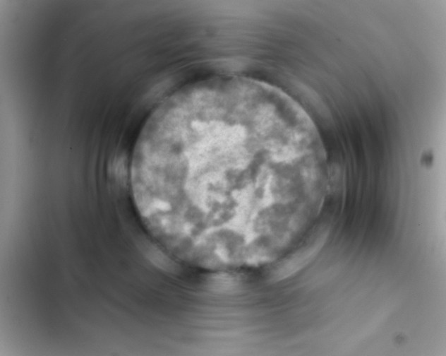 X0000103140238200809192012