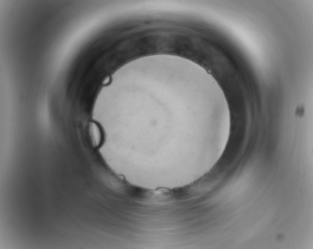 X0000103140239200809192012