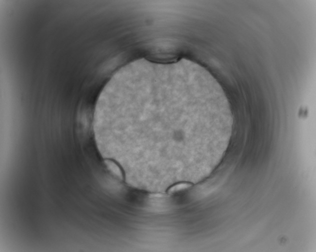 X0000103140240200809192012