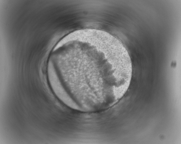 X0000103140241200809192012