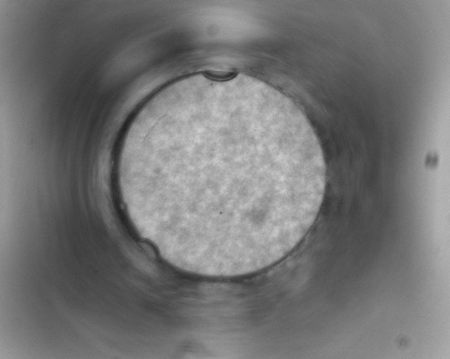 X0000103140242200809192012