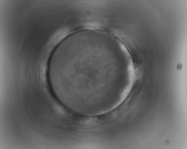 X0000103140243200809192012