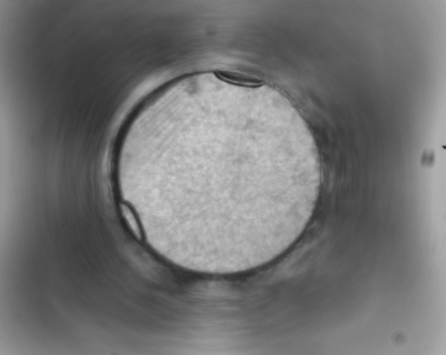 X0000103140244200809192012