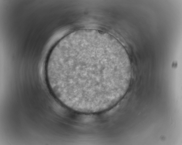 X0000103140245200809192012