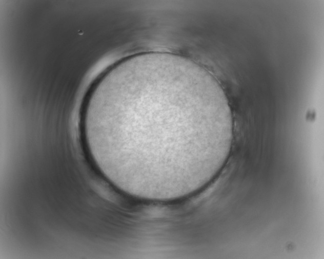 X0000103140246200809192012