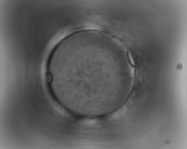 X0000103140247200809192012