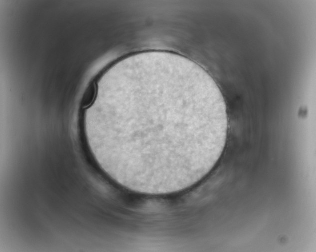 X0000103140248200809192012