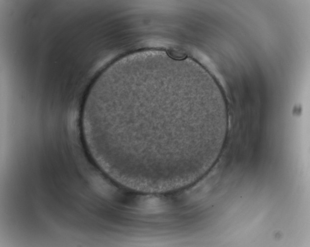 X0000103140249200809192012