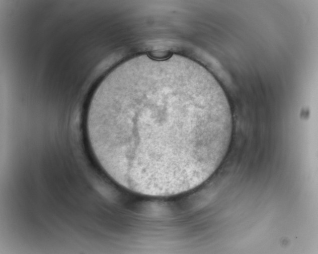 X0000103140250200809192012