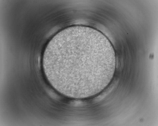 X0000103140253200809192012