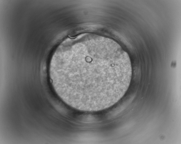 X0000103140254200809192012