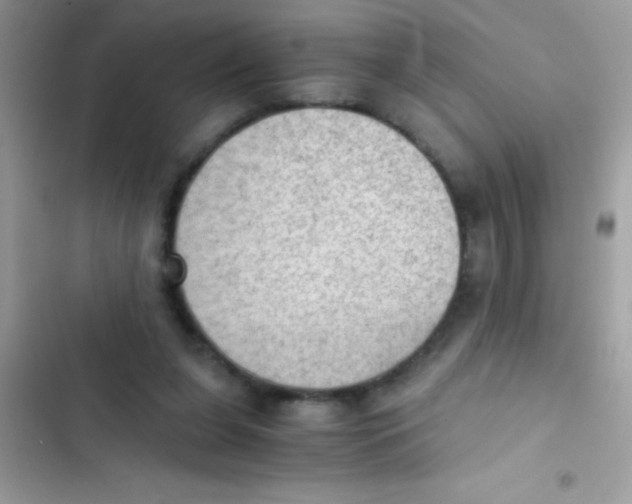 X0000103140255200809192012