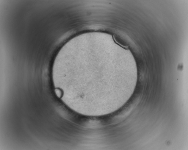 X0000103140256200809192012