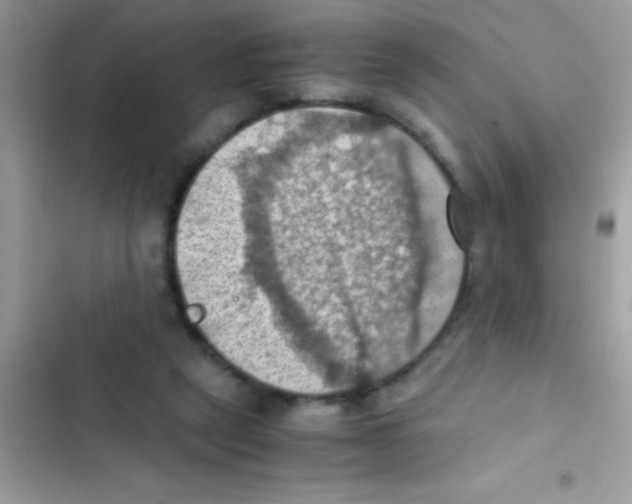 X0000103140257200809192012