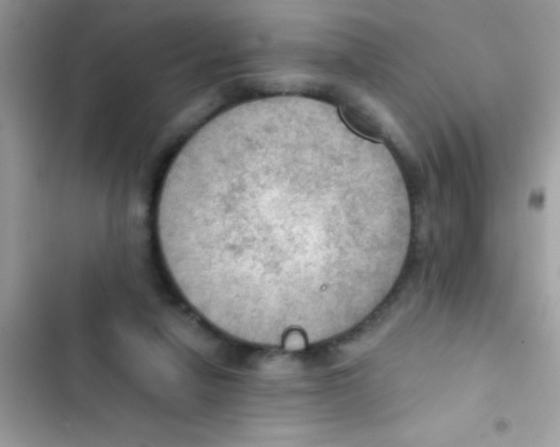 X0000103140258200809192012