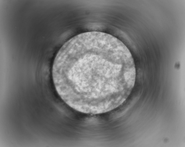 X0000103140259200809192012