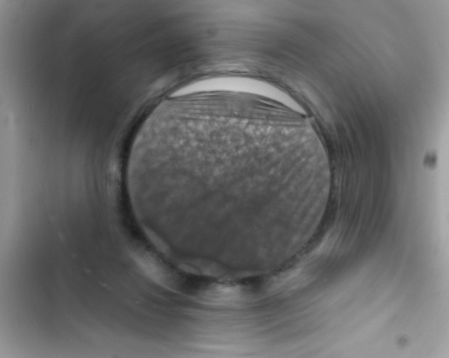 X0000103140260200809192012