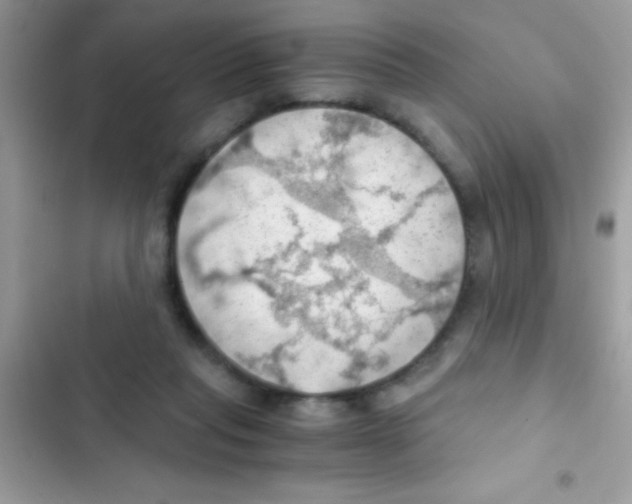X0000103140261200809192012
