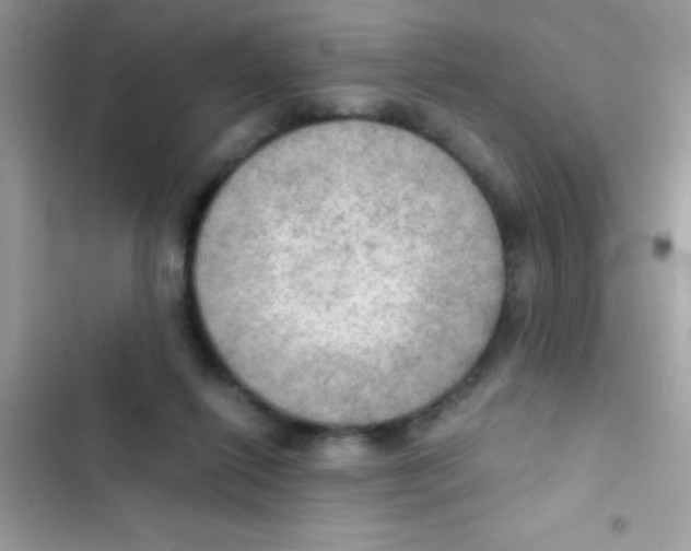 X0000103140262200809192012