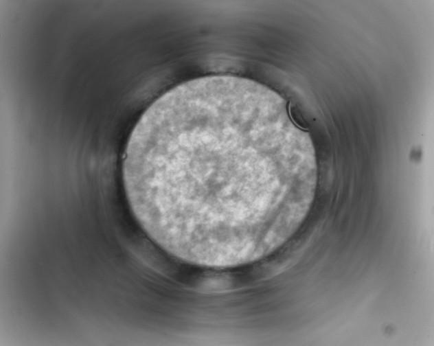 X0000103140263200809192012