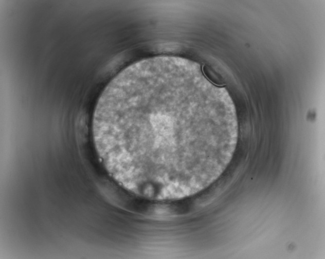 X0000103140264200809192012