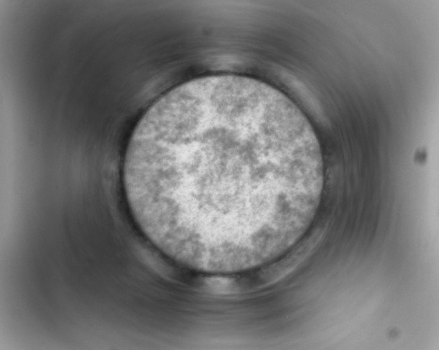 X0000103140265200809192012