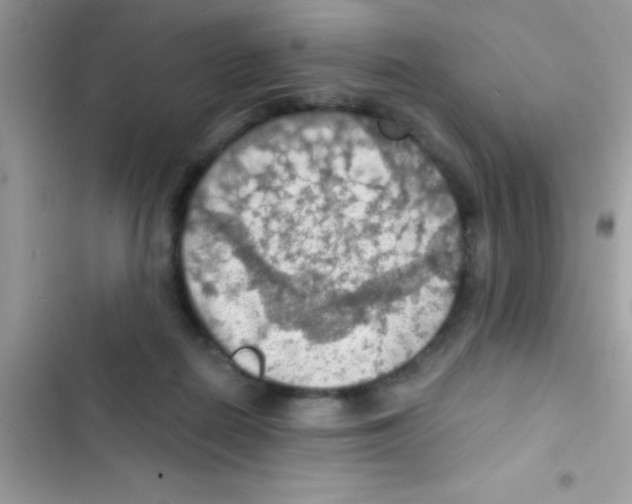 X0000103140266200809192012