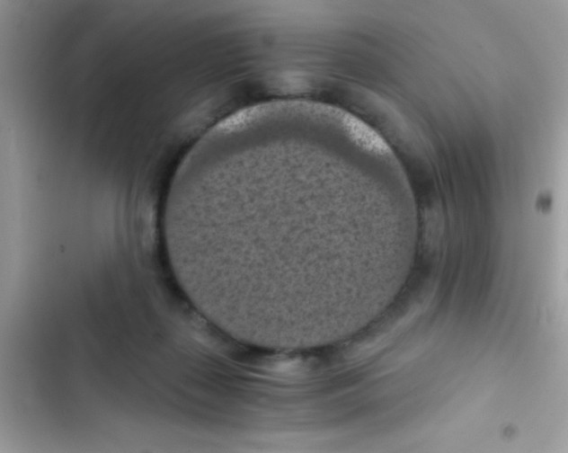 X0000103140267200809192012