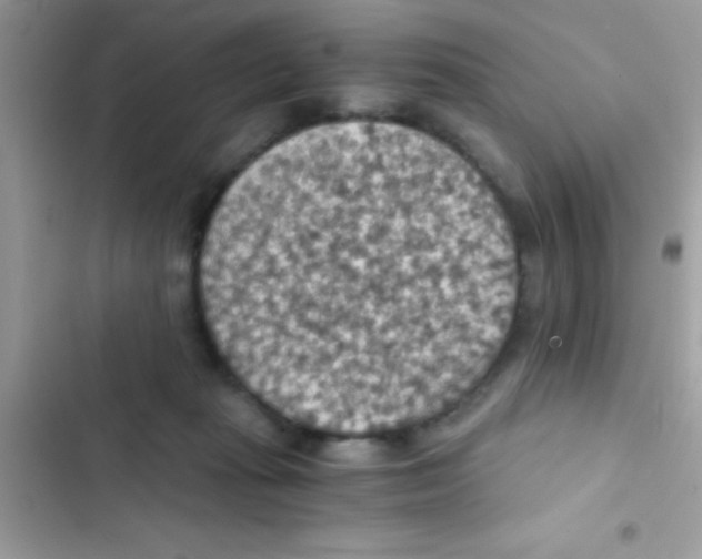 X0000103140269200809192012