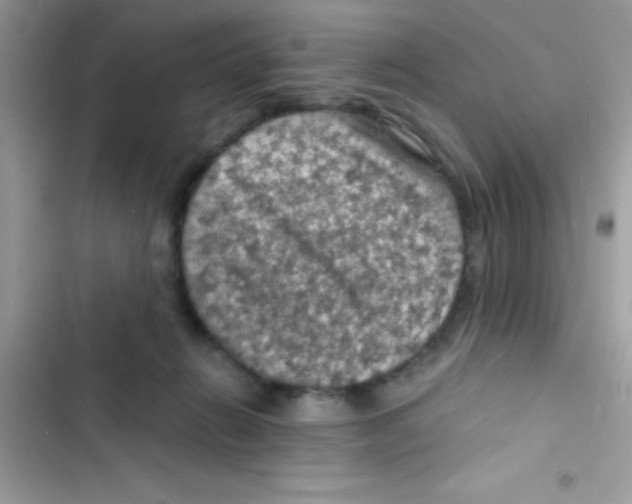 X0000103140270200809192012