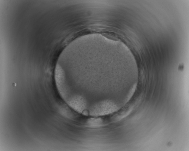 X0000103140271200809192012