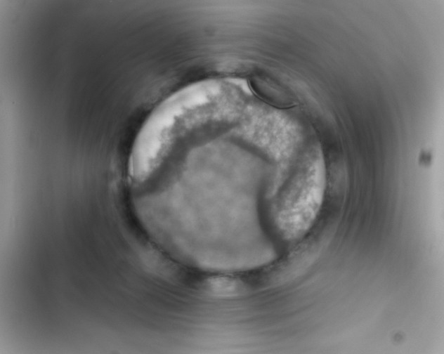 X0000103140272200809192012