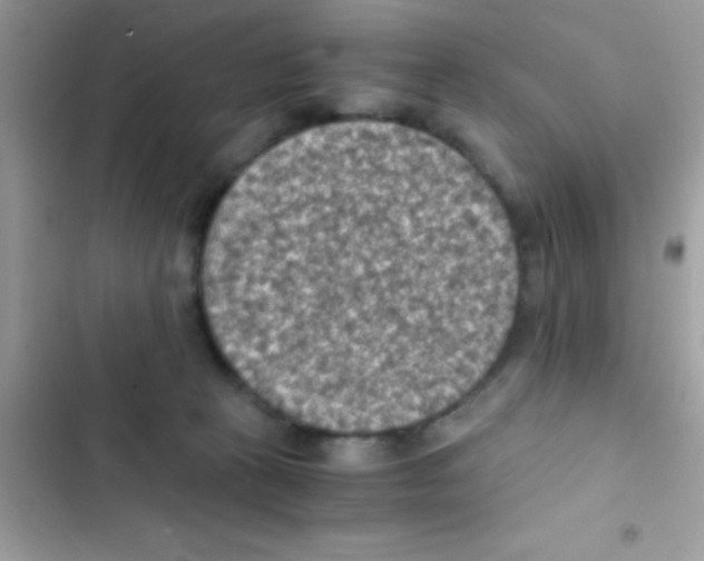 X0000103140273200809192012