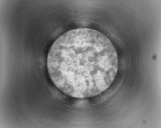 X0000103140274200809192012