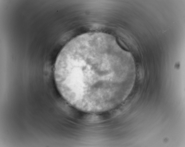 X0000103140276200809192012