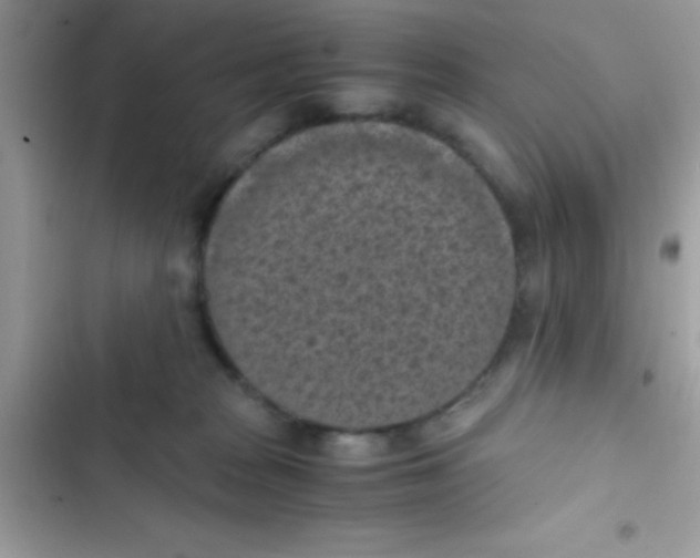 X0000103140277200809192012