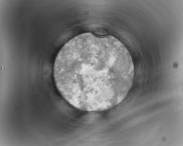 X0000103140278200809192012