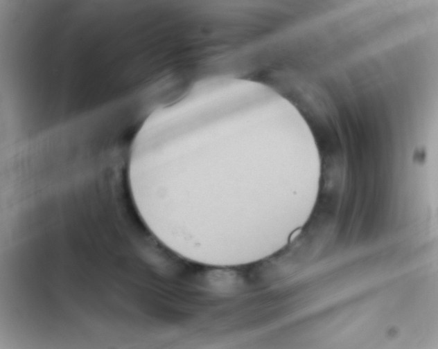 X0000103140279200809192012