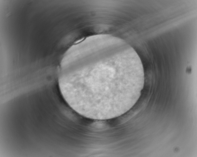 X0000103140280200809192012