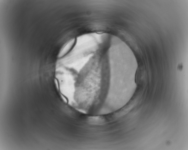 X0000103140281200809192012