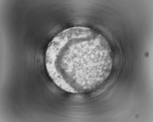 X0000103140282200809192012