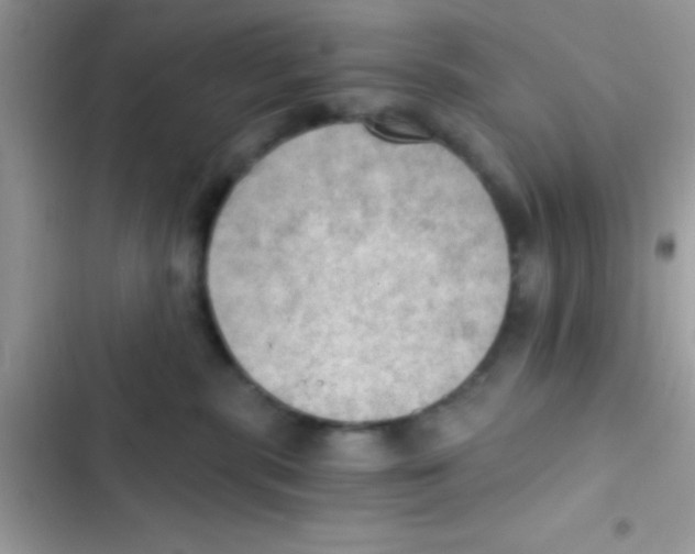 X0000103140283200809192012