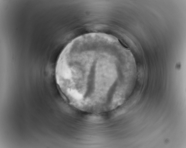 X0000103140284200809192012