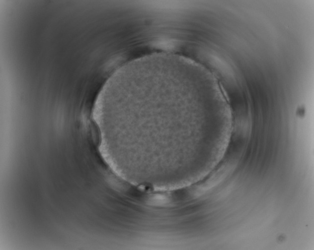 X0000103140285200809192012