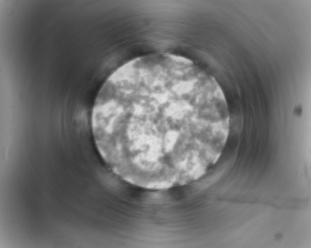 X0000103140286200809192012