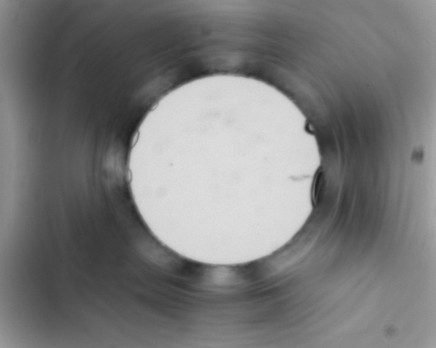 X0000103140287200809192012