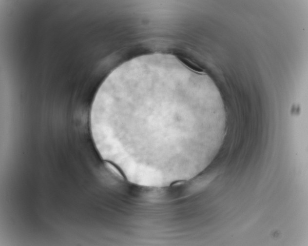 X0000103140288200809192012