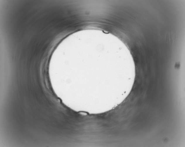 X0000103140289200809192012