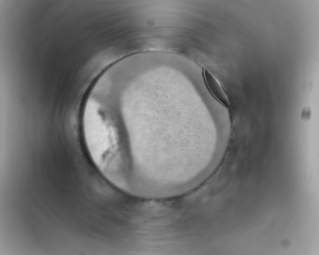 X0000103140290200809192011